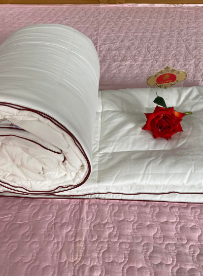 CÔNG TY TNHH MỘT THÀNH VIÊN SẢN XUẤT VÀ TRANG TRÍ NỘI THẤT MINH NGUYỆT