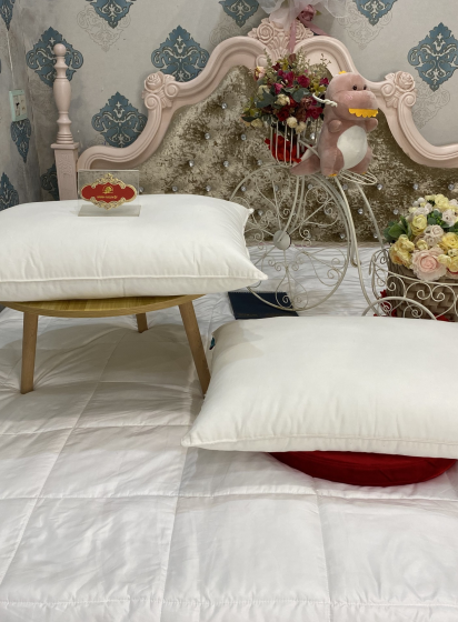 CÔNG TY TNHH MỘT THÀNH VIÊN SẢN XUẤT VÀ TRANG TRÍ NỘI THẤT MINH NGUYỆT
